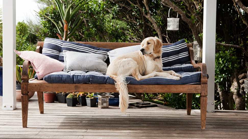 Dog laying atop outdoor cushions