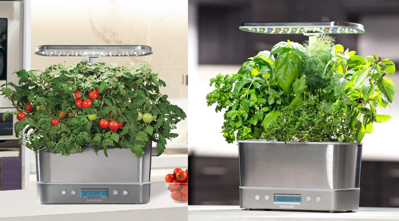 The AeroGarden Harvest Elite is an indoor vegetable and herb garden.