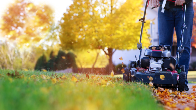 Lawn mower picking up leaves