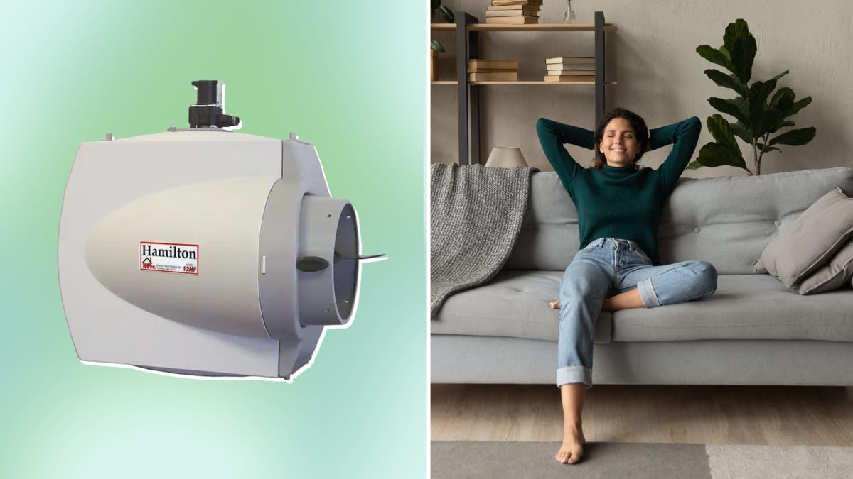 Best whole on sale home humidifier