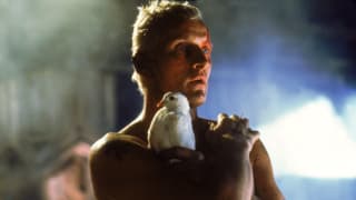 Actor Rutger Hauer holds a white dove in his final scene from 1982’s Blade Runner.