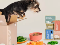 dog jumping out of an Ollie box surrounded by Ollie products and fresh produce