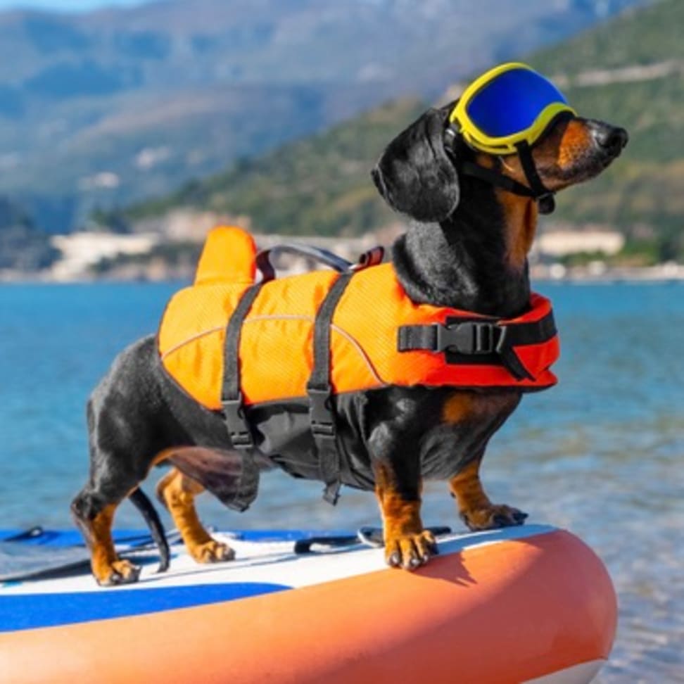 Outward Hound Dog Life Jacket Medium Orange