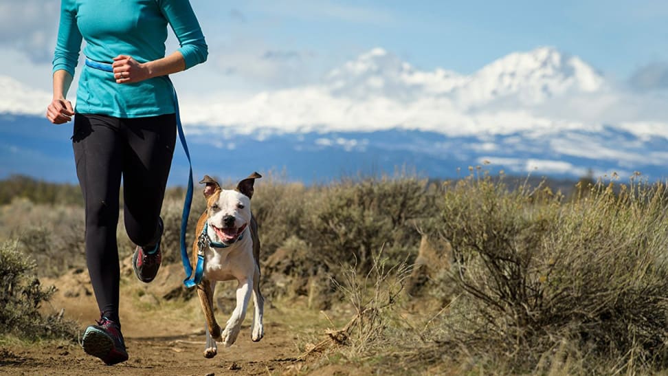 Running with your dog is the best