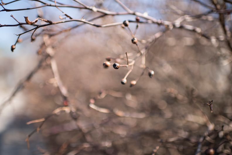 EXIF: 35mm, ISO 100, 1/2000, f/1.4