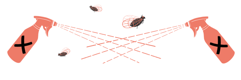 Illustration of pesticide bottles spraying cicadas 2024