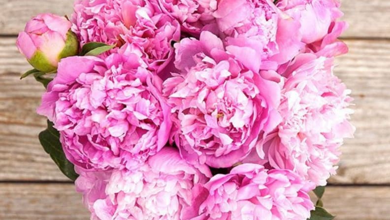 Bouqs Peonies