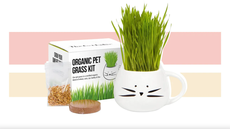 Cup of grass sitting next to box of packaging.