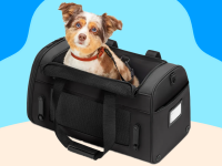 Small dog with red collar sits in black pet carrier while looking up.