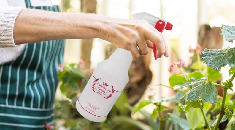 Using white spray bottle to spray plants