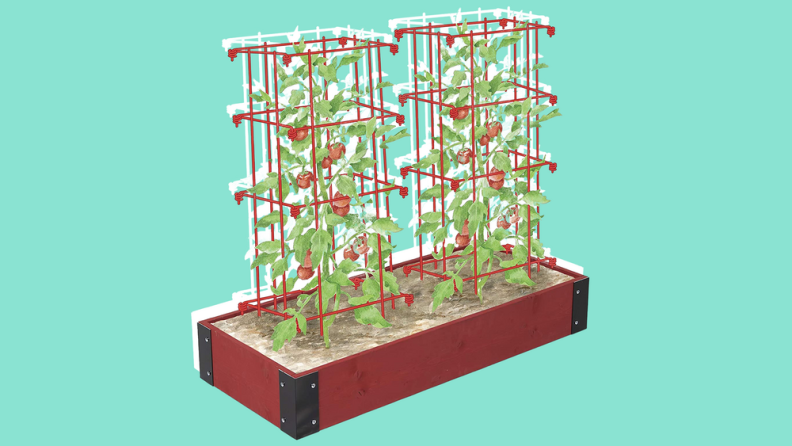 A planter box with red cages against a light blue background.