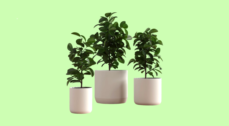 planter set