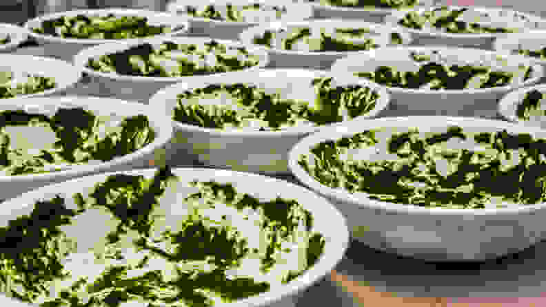 A series of bowls covered in a thin, mottled layer of pureed spinach.