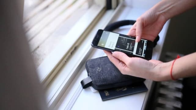 Bluesmart Passport Pouch Series 2