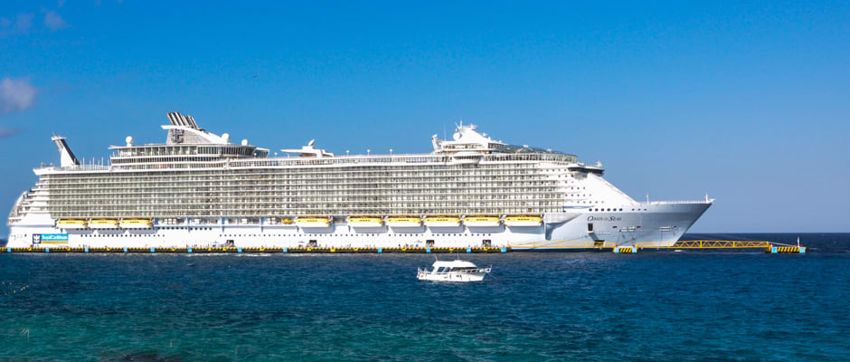 Tall Shot Glass ~ Royal Caribbean Cruise Save the Waves