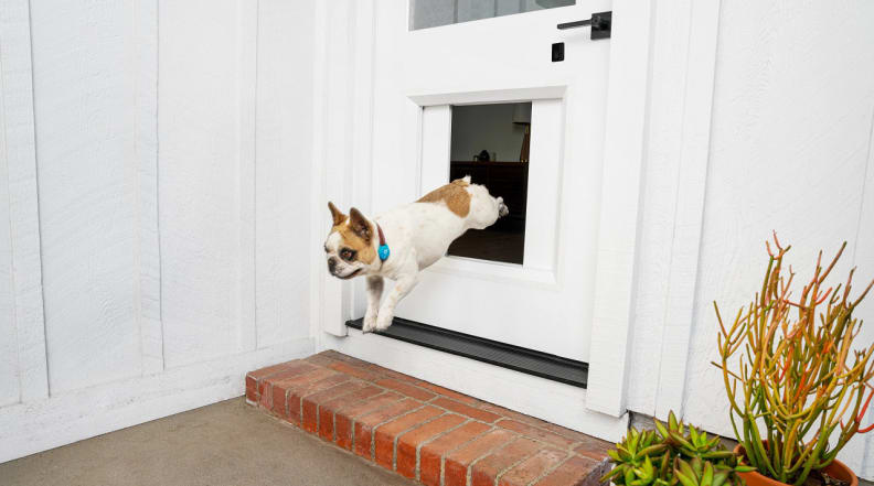 MyQ Pet Portal