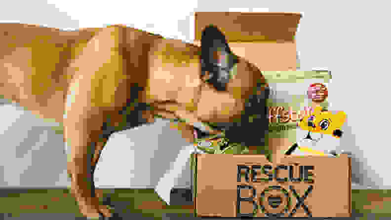 Rescue Box