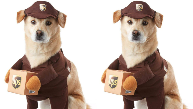 UPS pup