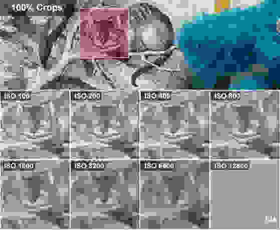 100% crops of shots taken by the Nikon Coolpix P340, compared by ISO speed.