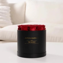 Product image of Monet Diffuser