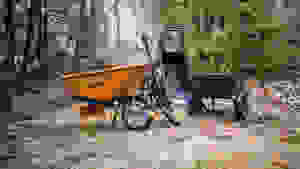Three wheelbarrows—orange, black, and green—sit in a wooded area.