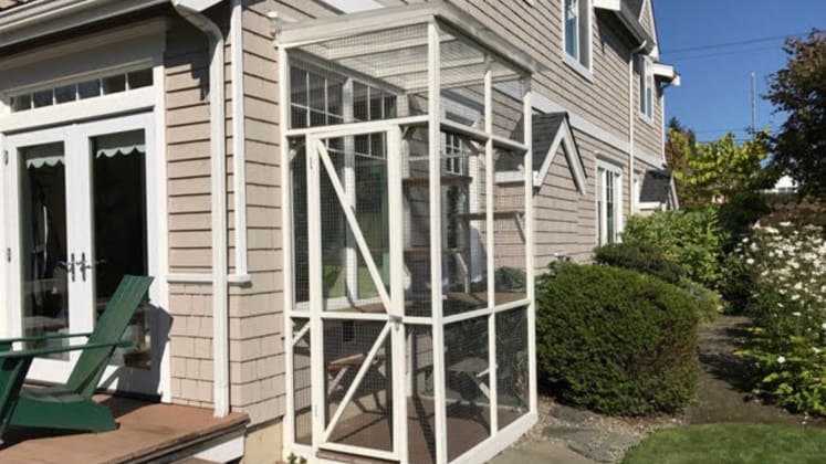 Trendy Catios Or Outdoor Cat Enclosures Your Cat Needs Reviewed
