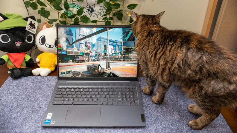 A cat admires the graphics of a game paused on a Lenovo Ideapad Gaming Chromebook.