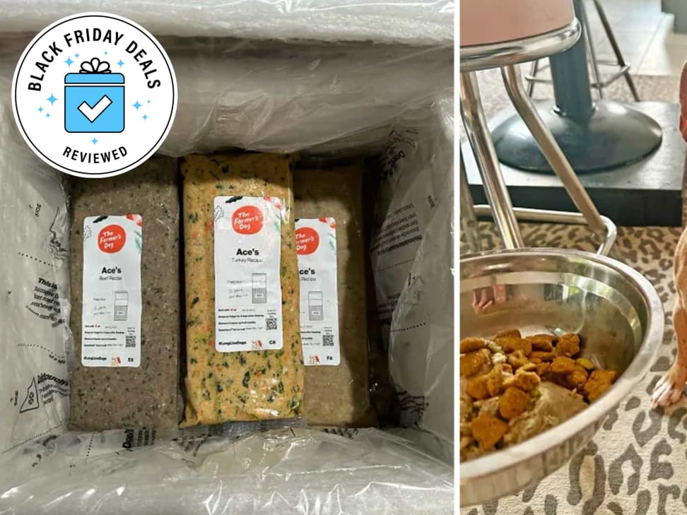 The farmer's dog sale dog food advisor
