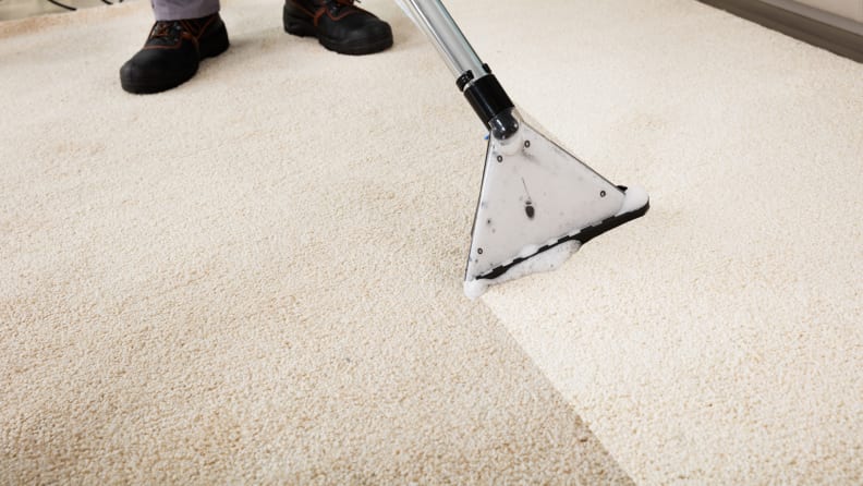 Renting carpet cleaner