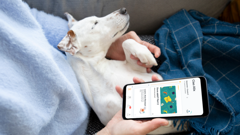 A small white dog cozies up to its owner, who is using the Babbel smartphone app to learn a new language.