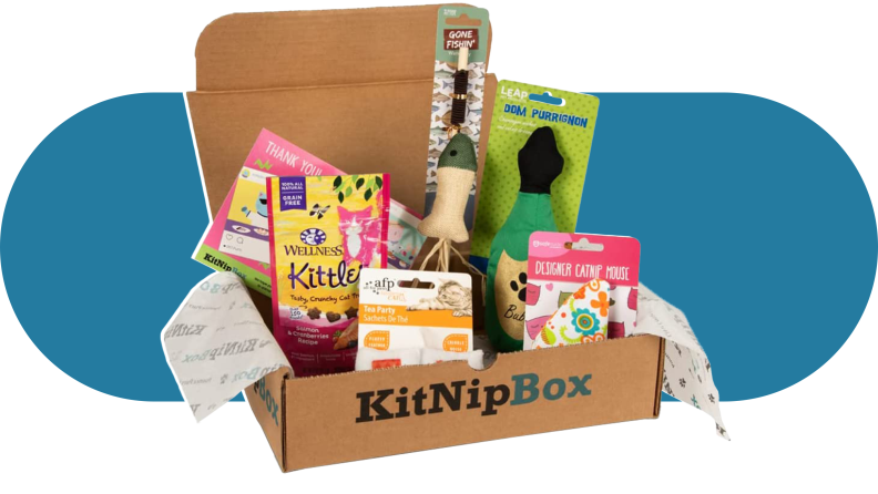 KitNipBox subscription box with assorted cat pet products inside.