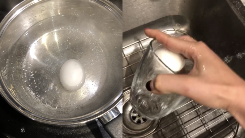 Egg1