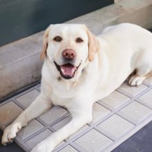 Product image of Heavy-Duty Doormats