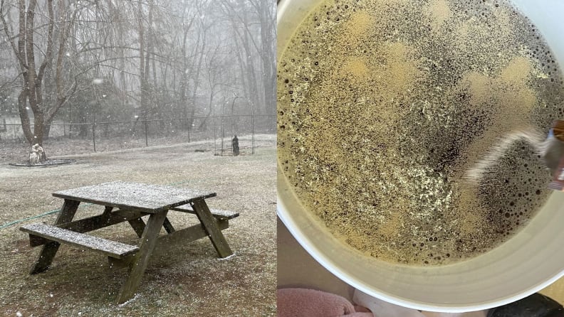 A composite of two images. The left half is a picture of the now-empty table where we initially laid out our gear, now covered in a light dusting of snow. The right half is a close-up of our fermentation bucket with the yeast being poured in. The yeast on top of the wort is bubbling.