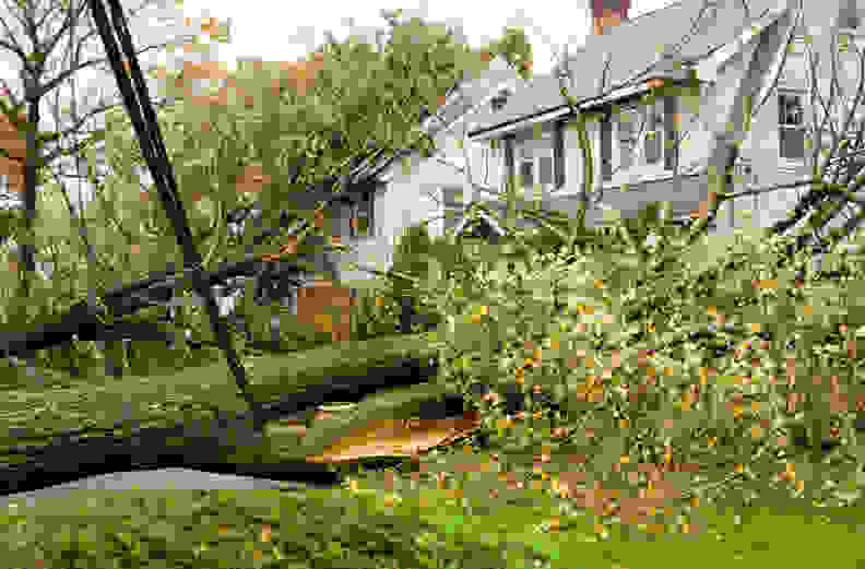 Fallen trees and power lines in front of a hurricane-damaged home