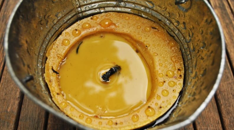 Citronella candle stagnant water