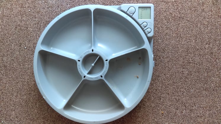 Why I Love The Cat Mate C500 Automatic Pet Feeder Reviewed Home