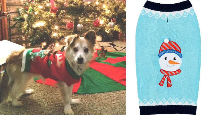 dog christmas sweater