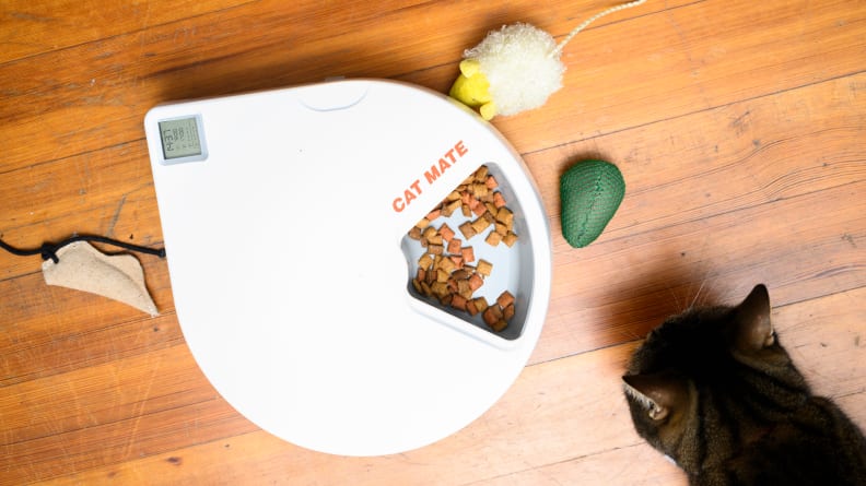 An image of an automatic cat feeder with a cat crouched over it.