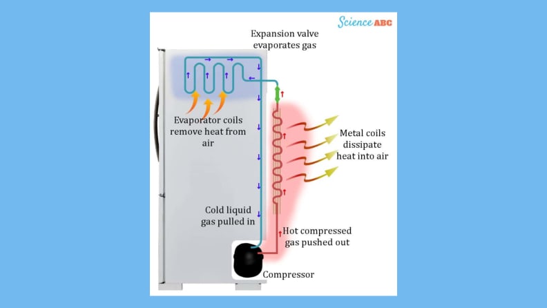 An image of how refrigerant runs through the compressor of a refrigerator.