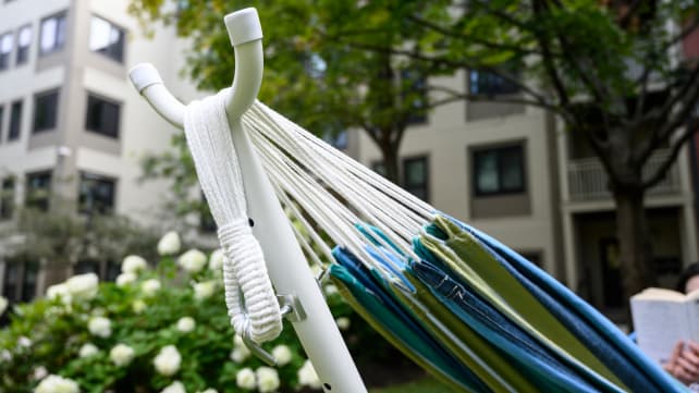 hammock1