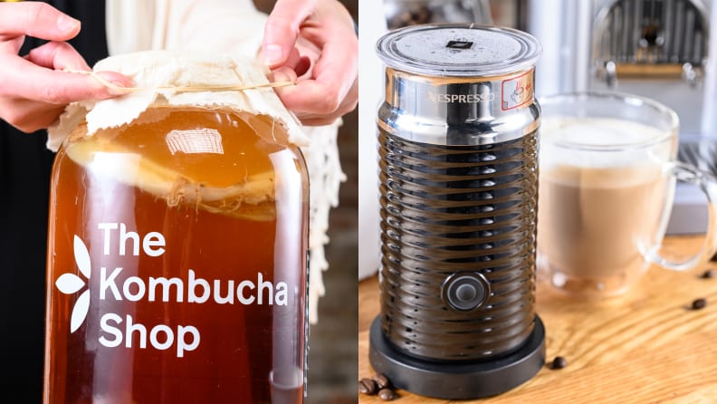 kombucha