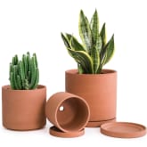 Product image of D’vine Dev Set of 3 Terracotta Pots