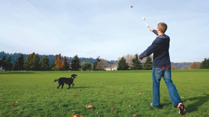 An image of a man using the Chuckit! Launcher to throw a ball for a dog.