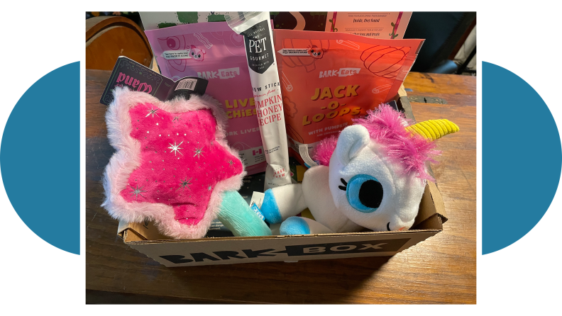 Barkbox subscription box with assorted dog pet products inside.