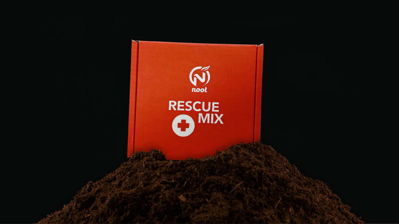 A box of Rescue Mix on top of a pile of dirt.