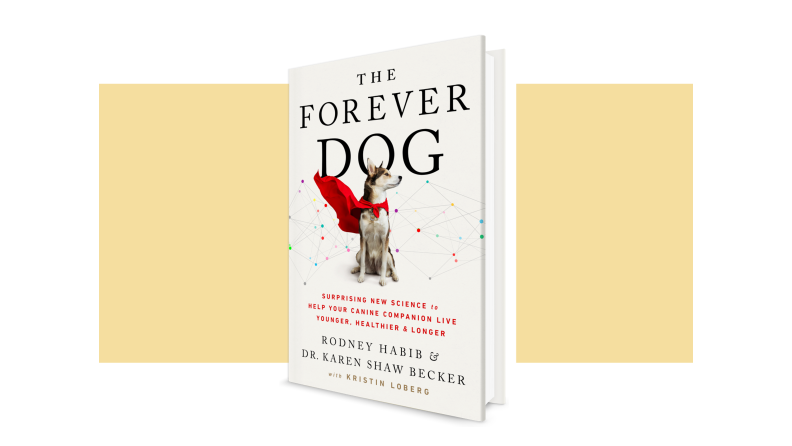 The cover of the book The Forever Dog, showing a medium sized breed wearing a cape. It is in front of a light gold background.
