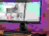 电脑显示器显示一个角色从一个视频游戏