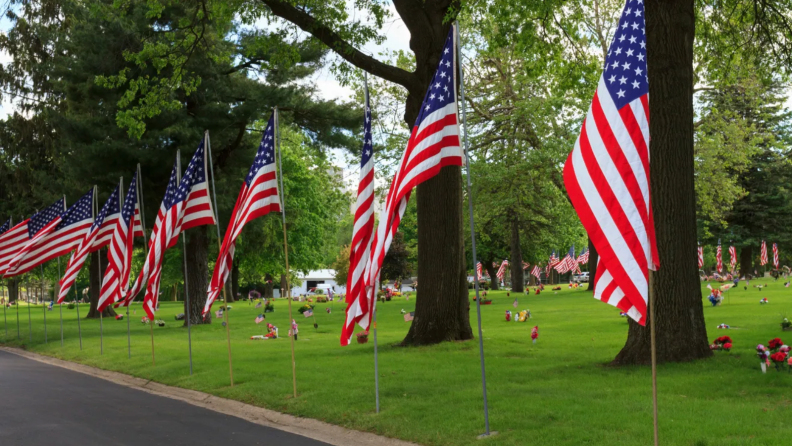 Row of American flags lining a  grassy curb