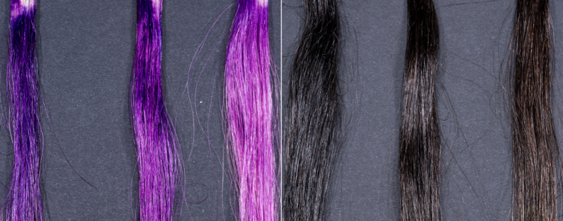 Experiment results for purple (left) and brown (right) dyed hair washed with Olaplex shampoo. The leftmost hair swatch in each group wasn't washed at all, the middle swatch was washed once, and the rightmost swatch was washed five times.